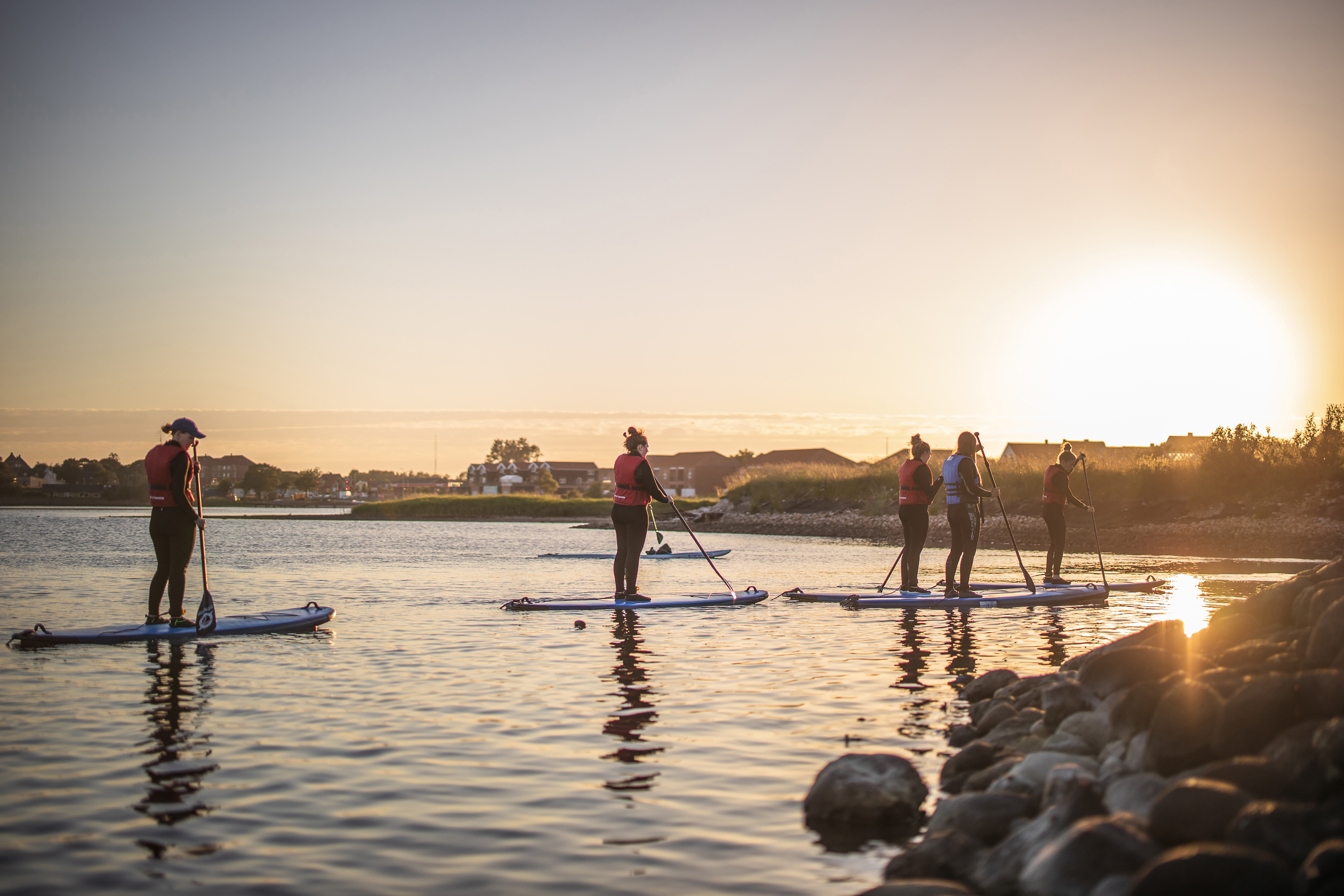 Padelboard surfere i Limfjorden